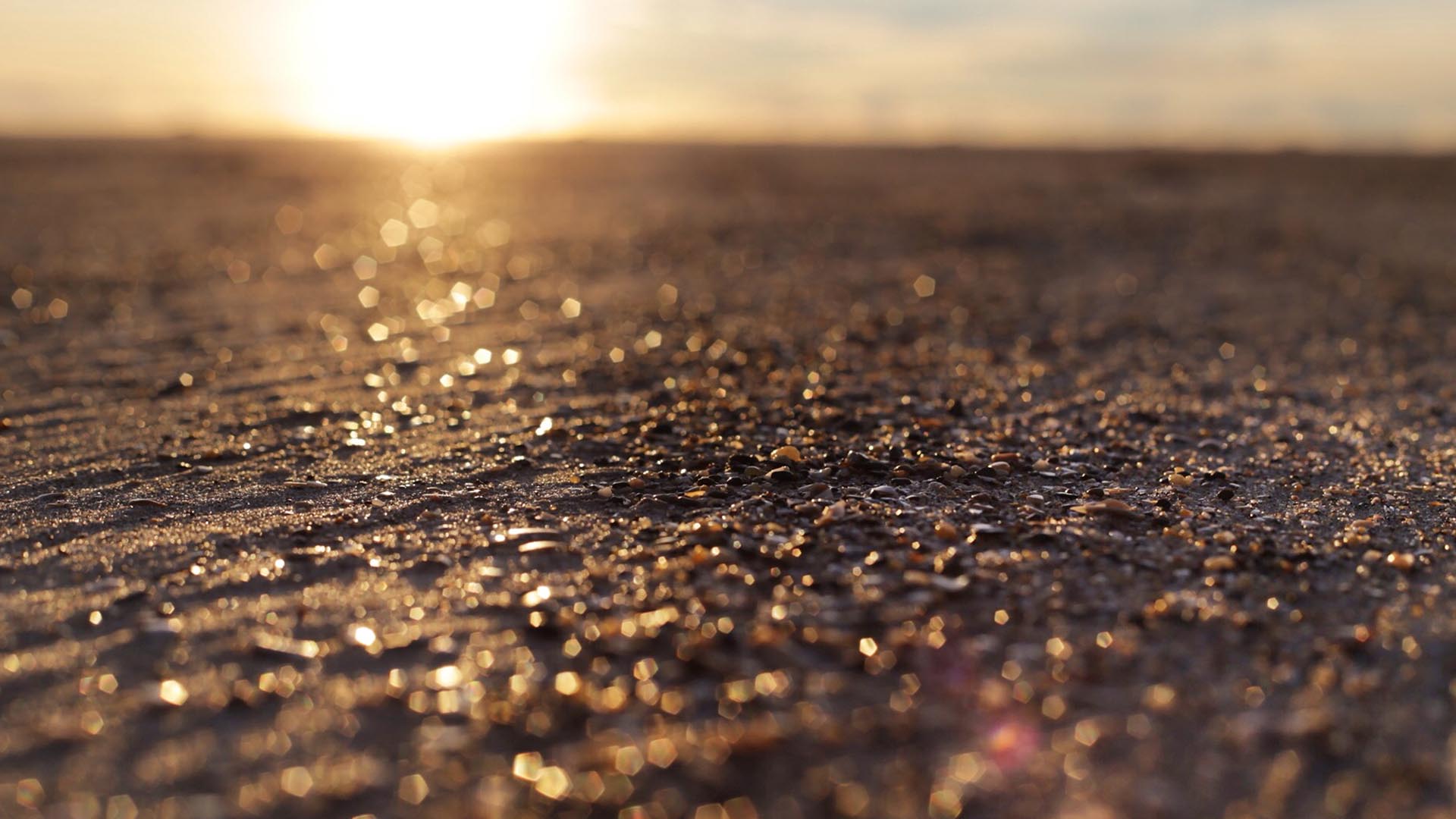 can i bet on college football online