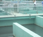 como apostar em yankee na bet fair