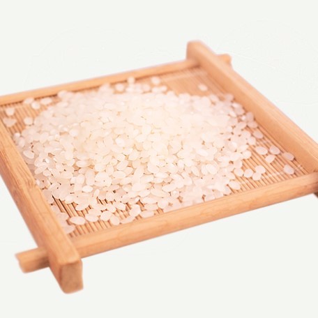 como apostar sporting bet