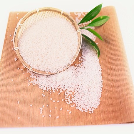 como apostar no gg bet