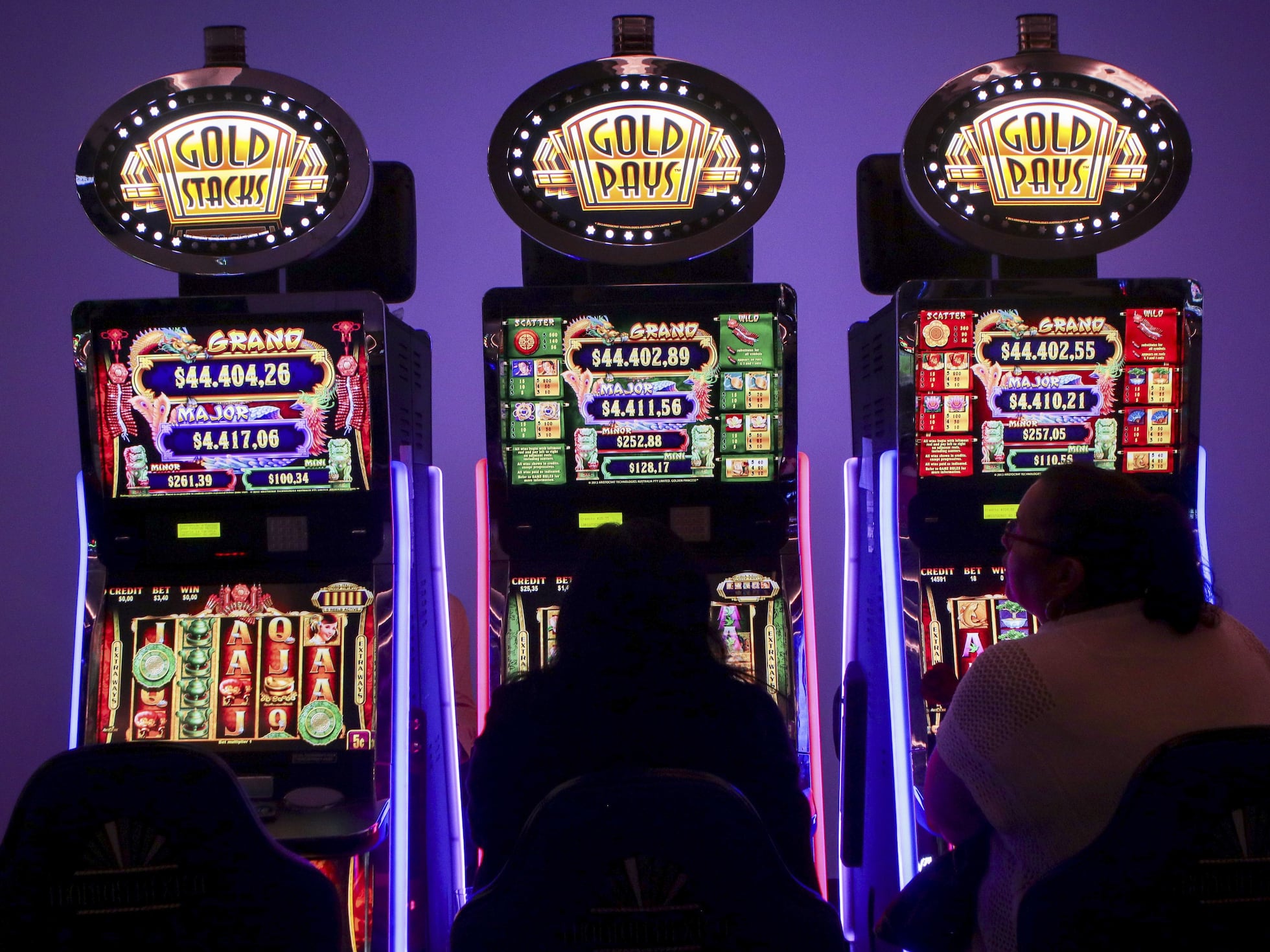 can bet apostas online