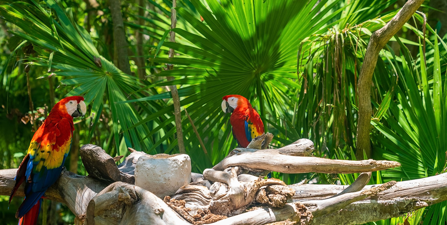 can you make money from betting on football