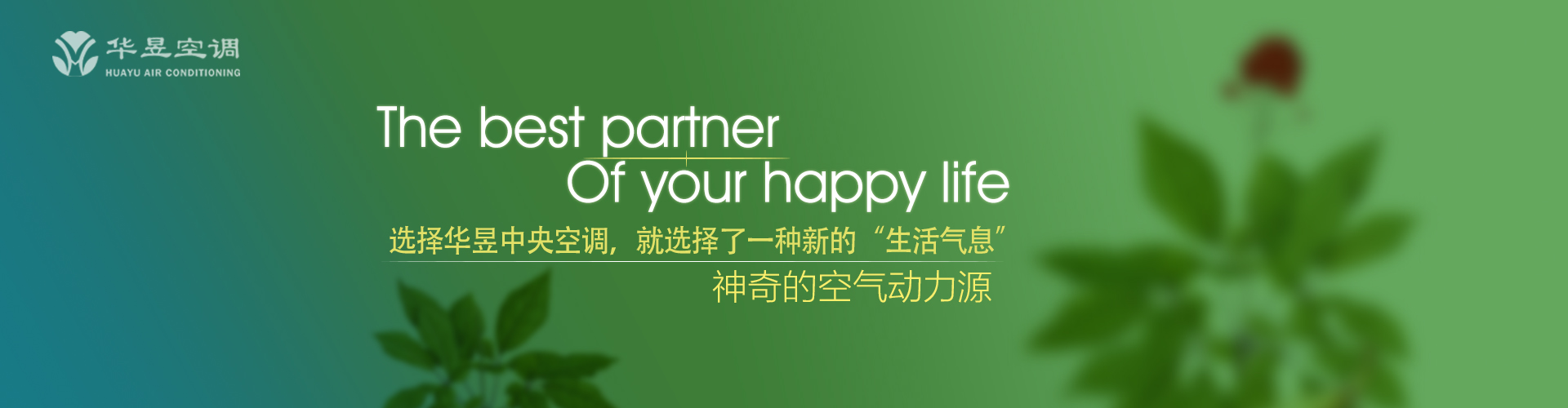 como apostar na margem de vitoria no bet 365